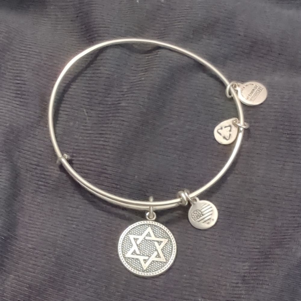 Alex and Ani Silver Charm Bracelet